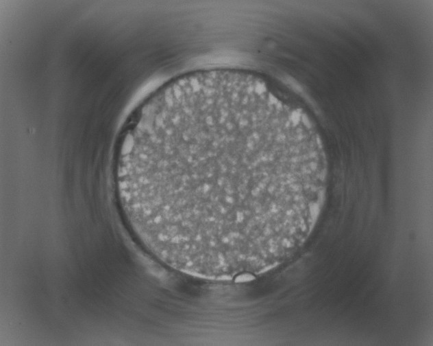 X0000080731469200701121858