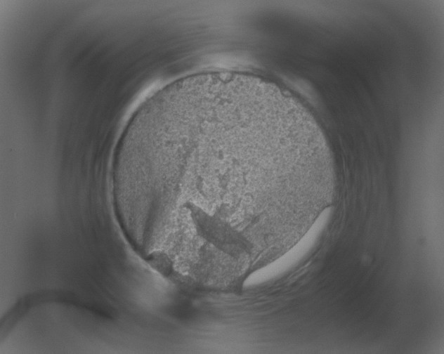 X0000080731471200701121857