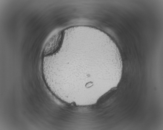 X0000080731472200701121857