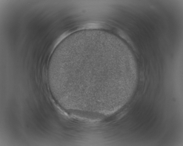 X0000080731473200701121857