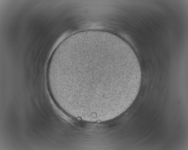 X0000080731475200701121857