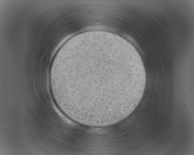 X0000080731476200701121857