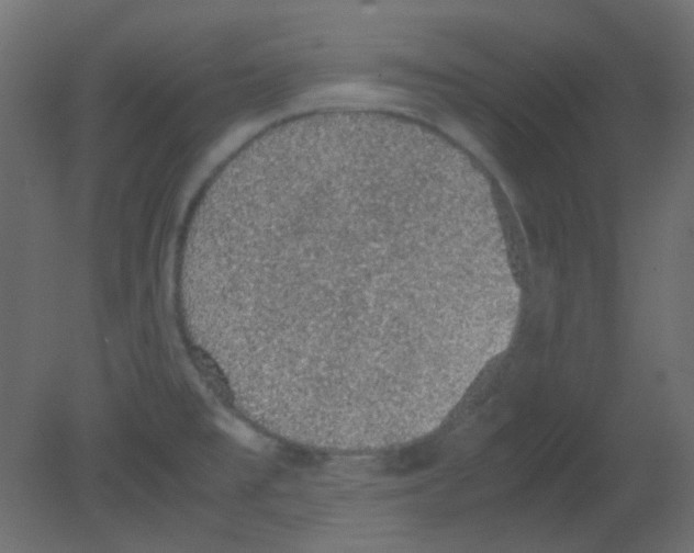 X0000080731477200701121857