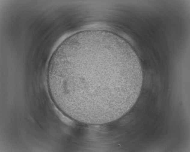 X0000080731478200701121857