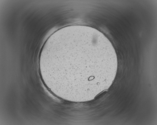 X0000080731479200701121857