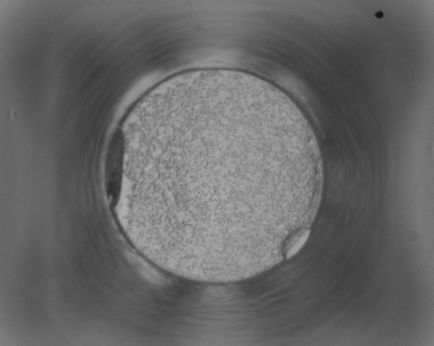 X0000080731480200701121857