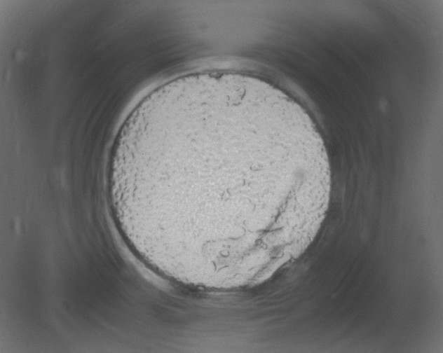 X0000080731483200701121857