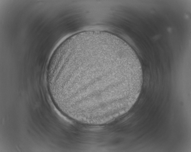 X0000080731484200701121857