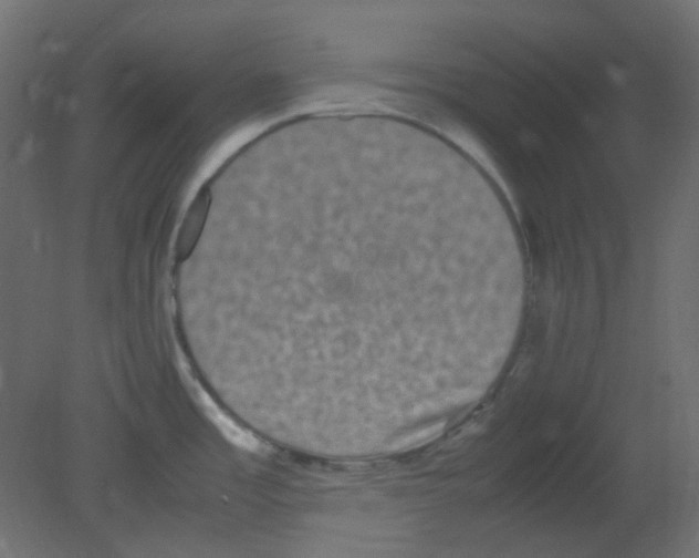 X0000080731485200701121857