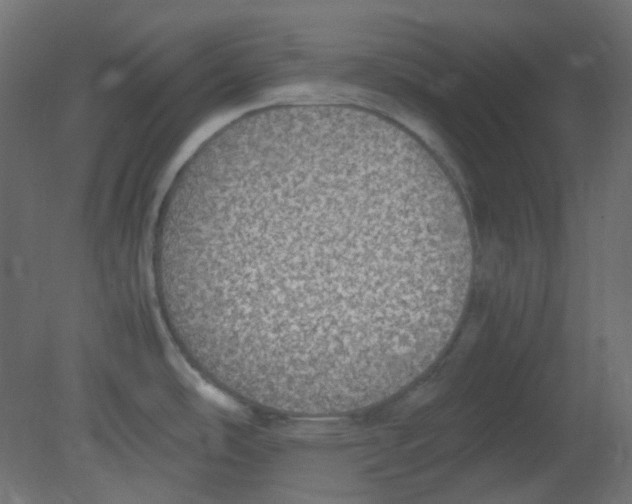 X0000080731486200701121857