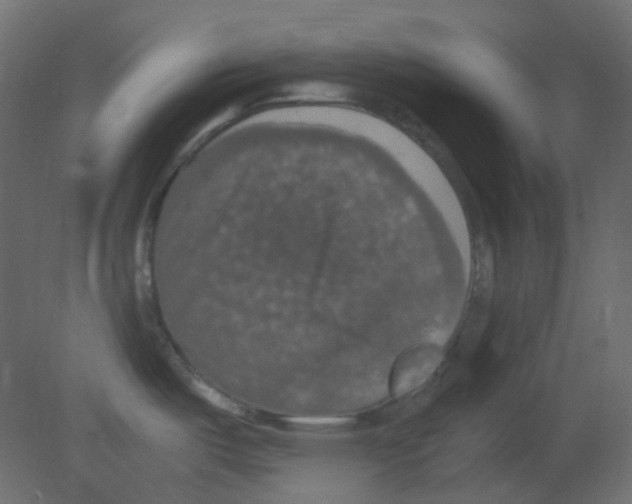 X0000080731487200701121857