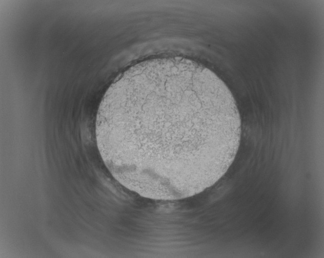 X0000080731490200701121856