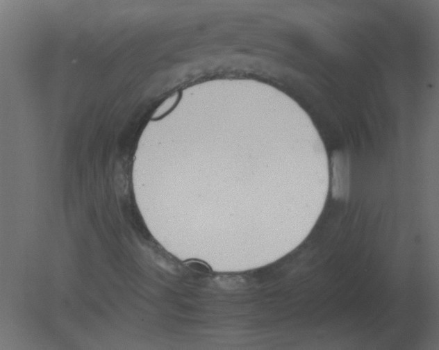 X0000080731491200701121856