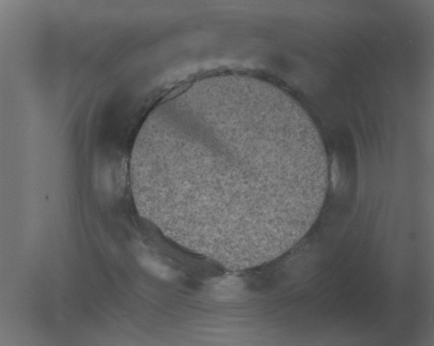 X0000080731492200701121856