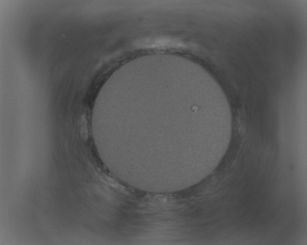 X0000080731493200701121856