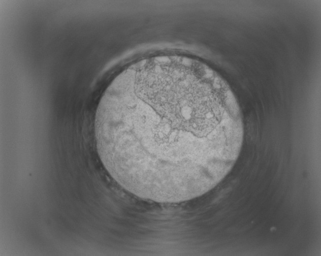 X0000080731494200701121856