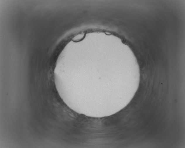 X0000080731495200701121857