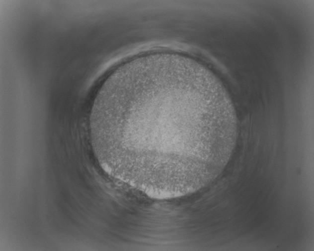 X0000080731496200701121857