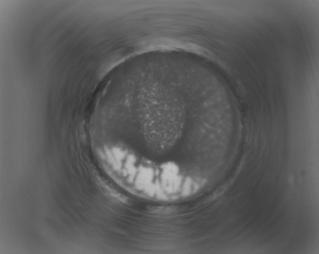 X0000080731497200701121857