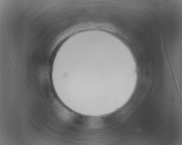 X0000080731498200701121857