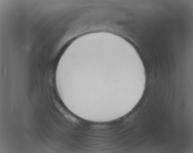 X0000080731499200701121857