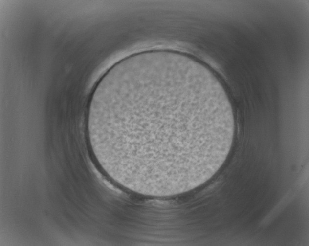 X0000080731500200701121857