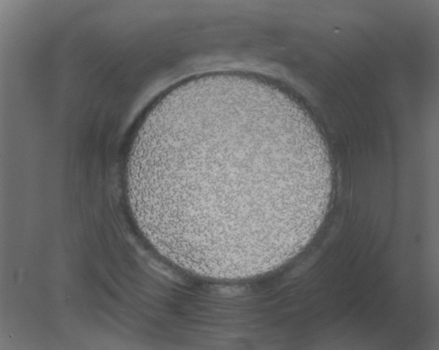 X0000080731501200701121857