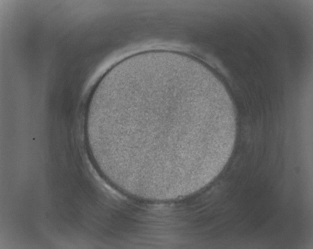 X0000080731504200701121857