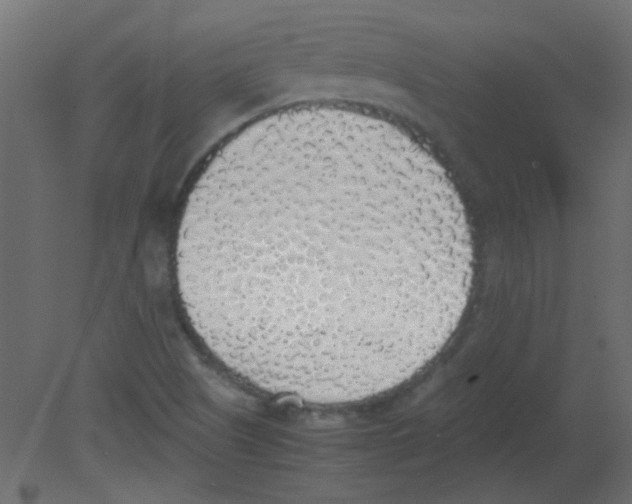 X0000080731505200701121857