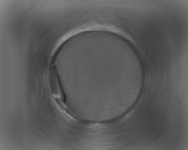 X0000080731506200701121857