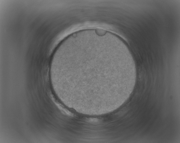 X0000080731507200701121857