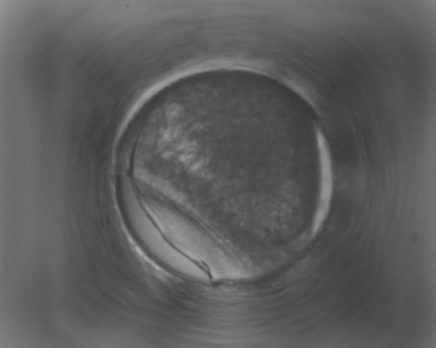 X0000080731508200701121857