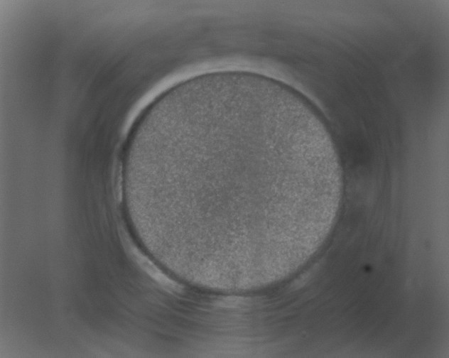 X0000080731510200701121857