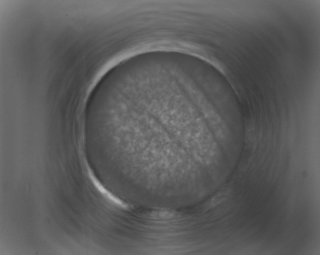 X0000080731515200701121857