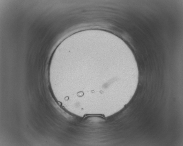 X0000080731516200701121857