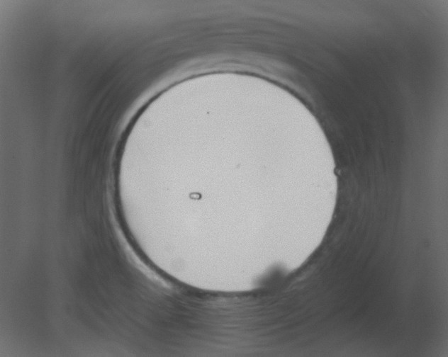 X0000080731518200701121857