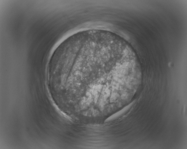 X0000080731520200701121857