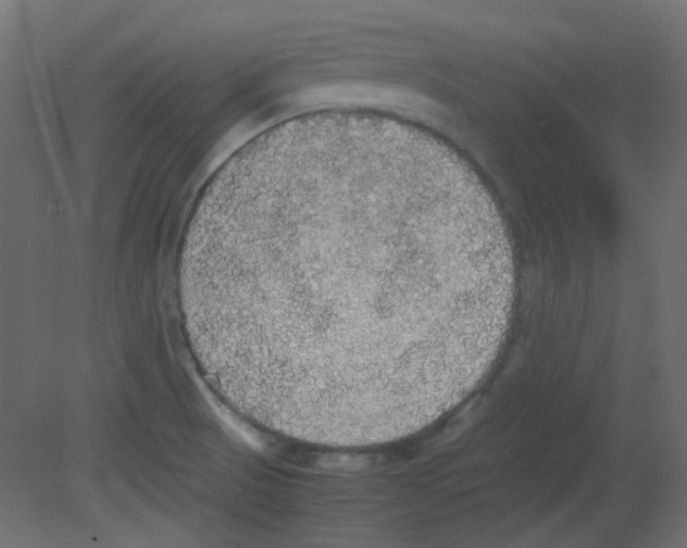 X0000080731521200701121857