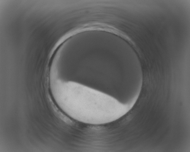 X0000080731522200701121857