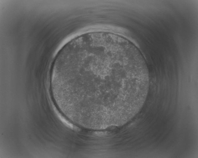 X0000080731523200701121857