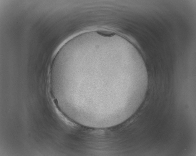 X0000080731524200701121857