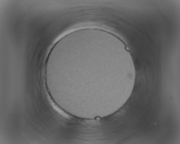 X0000080731526200701121857