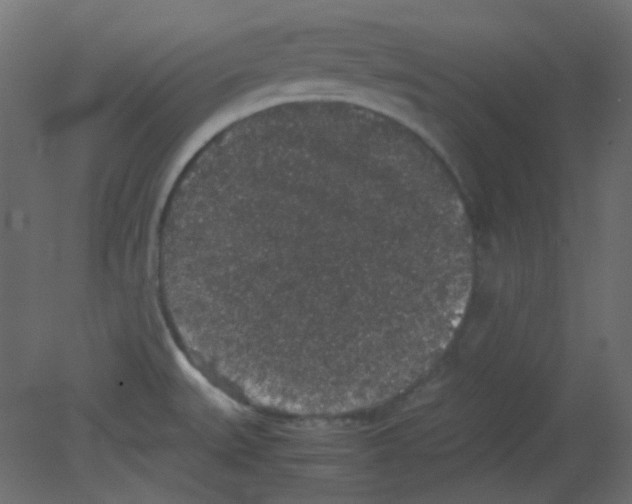 X0000080731527200701121857