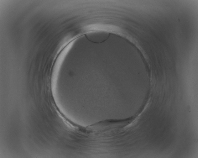 X0000080731529200701121857