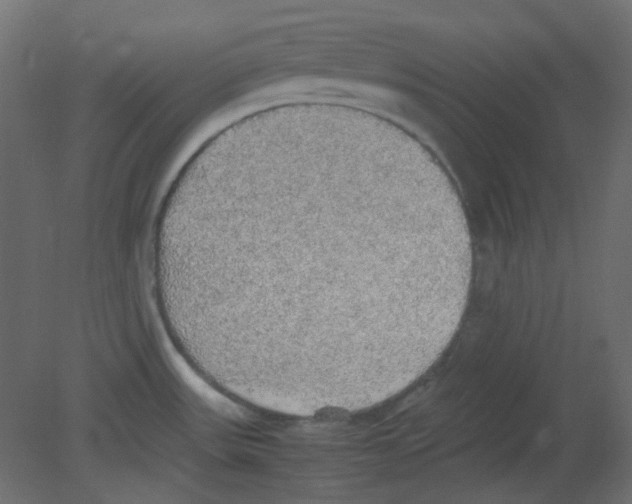 X0000080731531200701121857