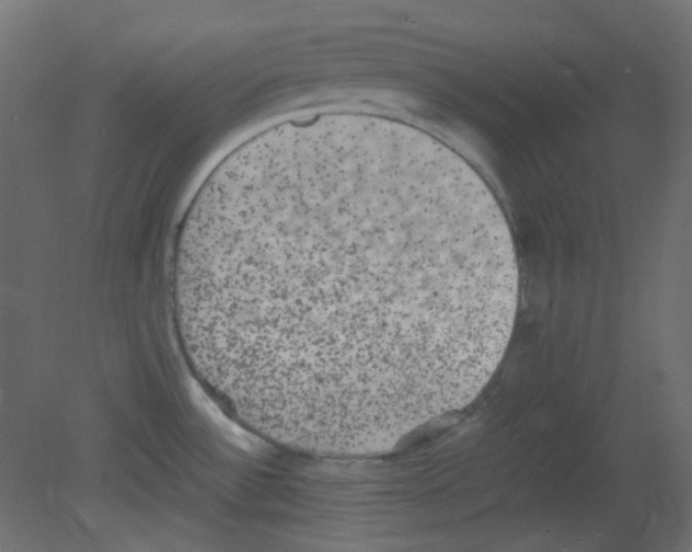 X0000080731532200701121857