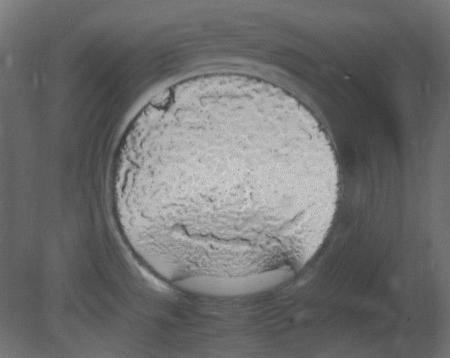 X0000080731533200701121857