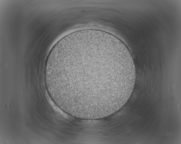 X0000080731534200701121857