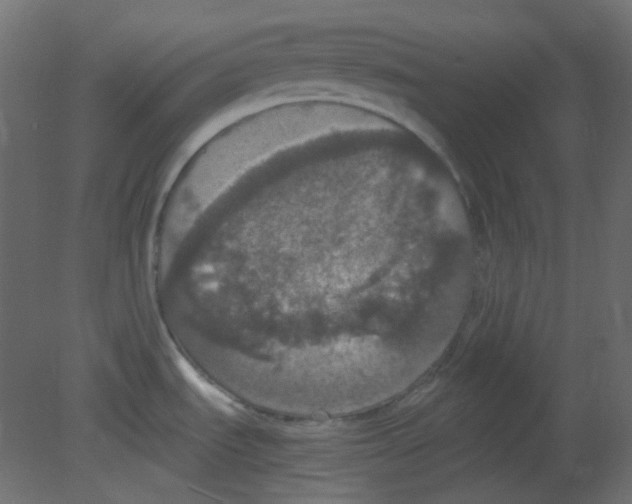 X0000080731535200701121857