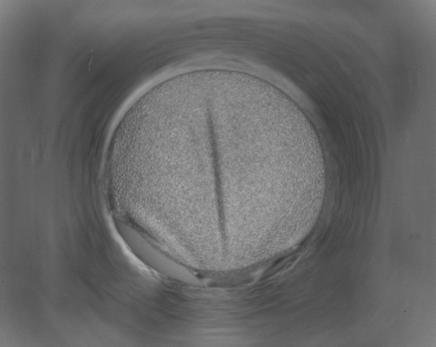 X0000080731536200701121857